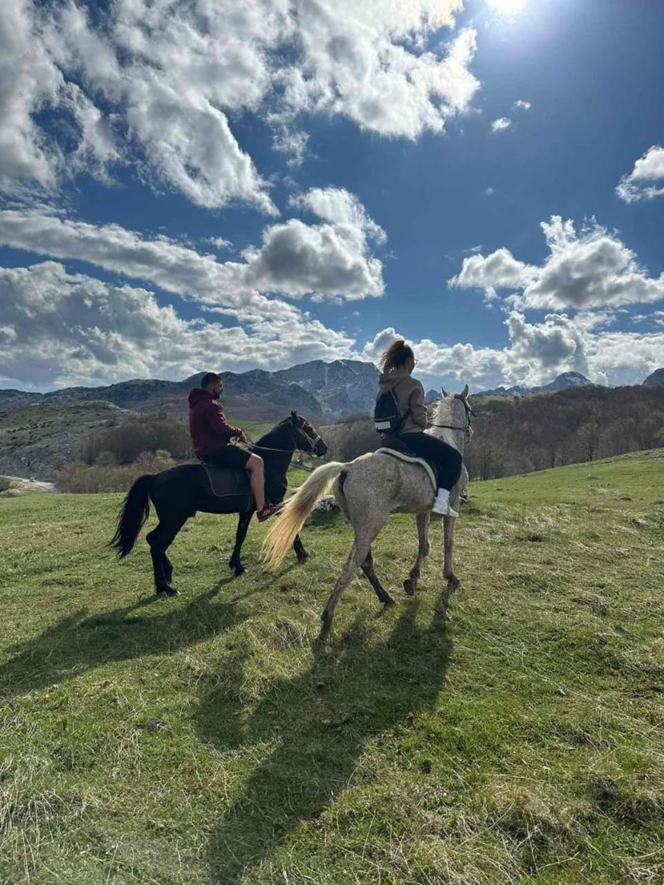 Brvnara Katun * Zabljak (Zabljak)